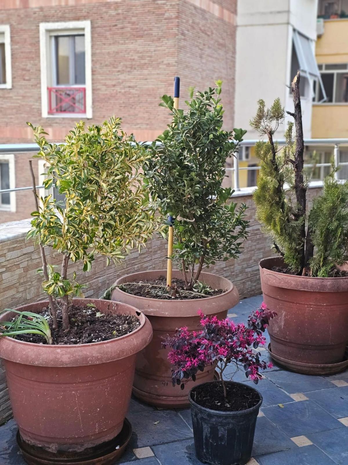 טיראנה Main Apartment מראה חיצוני תמונה