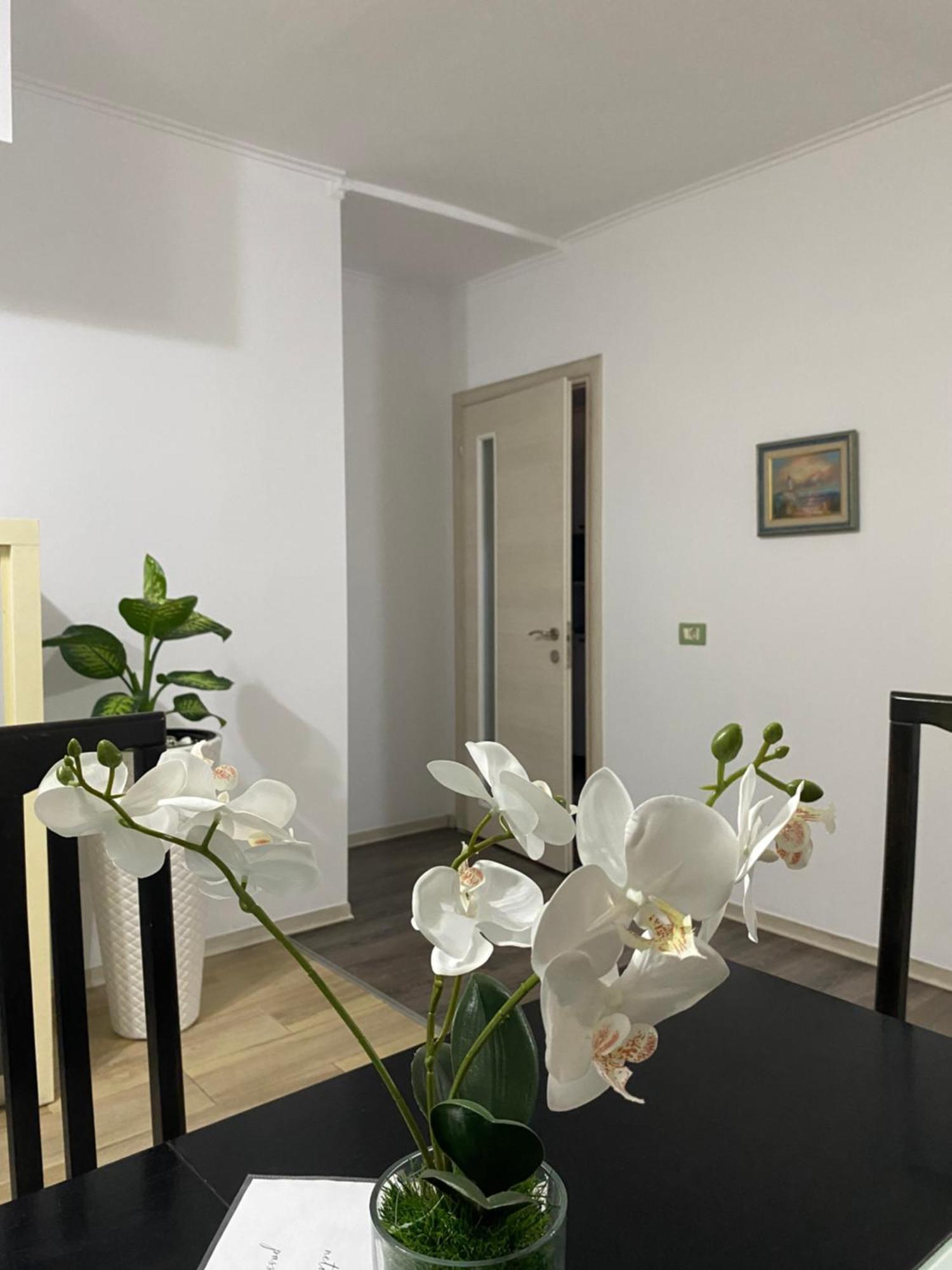 טיראנה Main Apartment מראה חיצוני תמונה