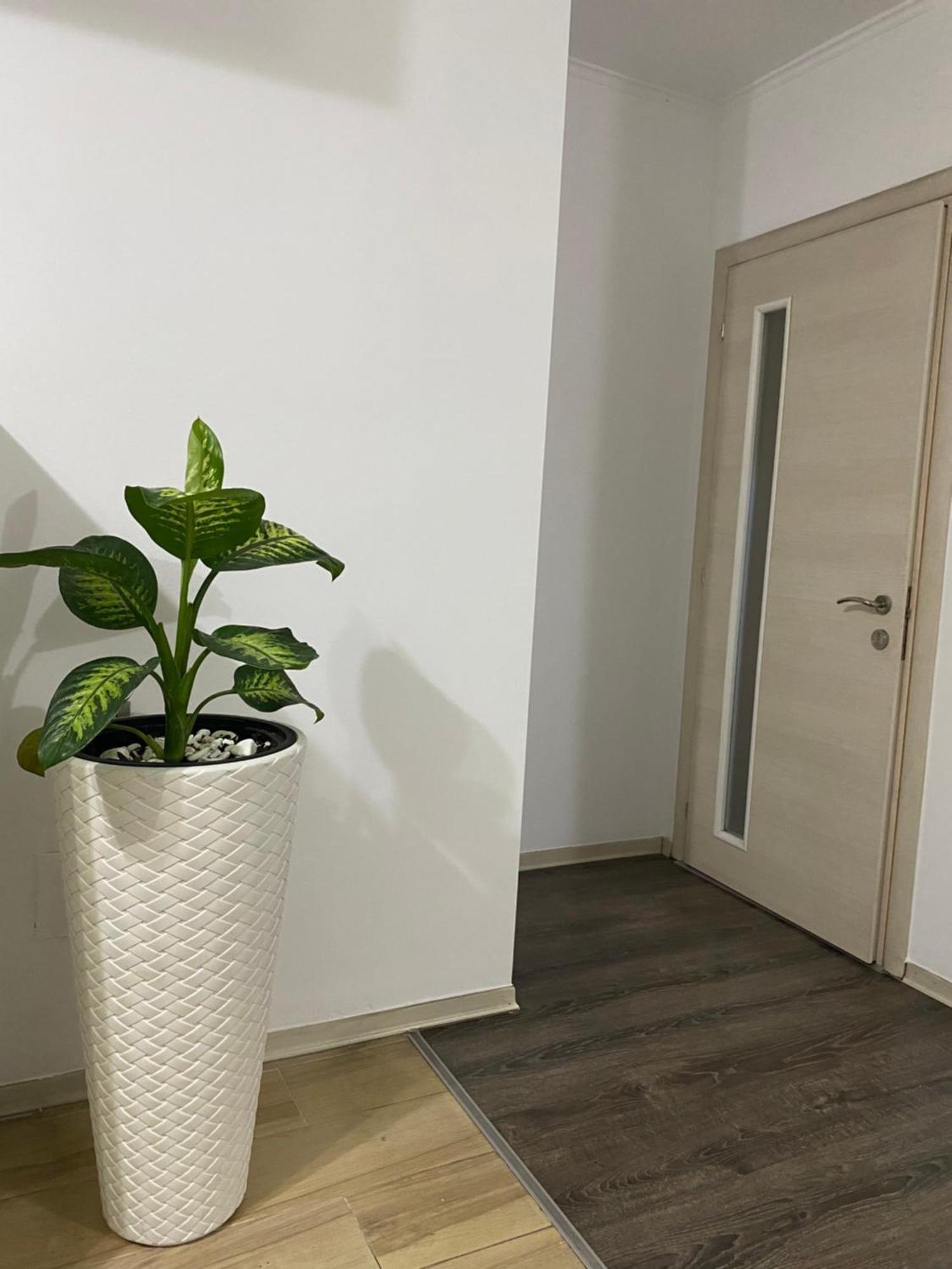 טיראנה Main Apartment מראה חיצוני תמונה
